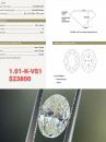 1.01 K VS1 GIA2215054349