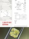 1.00 FY SI1 GIA1408658833