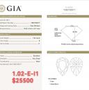 1.02 E I1 GIA7383720017