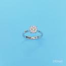 MTXX_20241113_143220274_